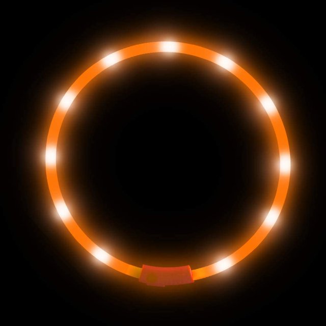 Collar para perros BEMS-LED - Collar iluminado recargable para mascotas, silicona