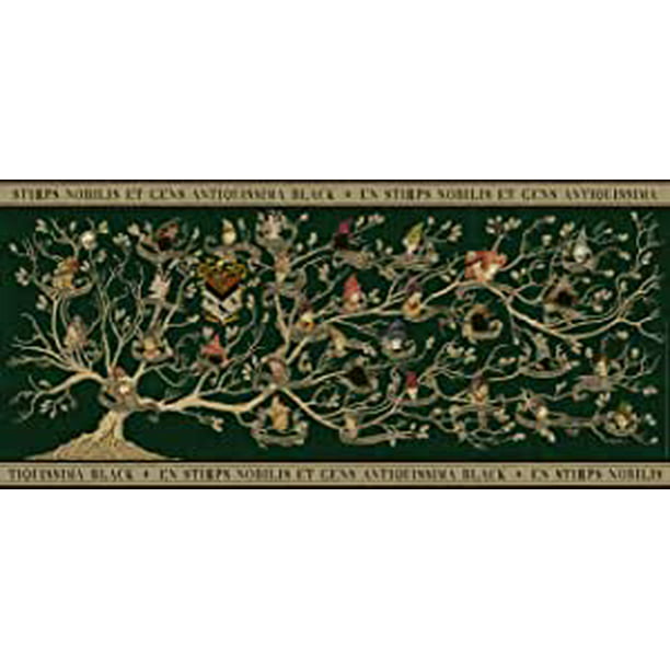 recorder inval club Ravensburger Puzzle 17299 - Family Family Tree - 2000 Pieces Harry Potter  Panorama Puzzle for Adults and Children from 14 Years - Walmart.com