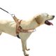 thumbnail image 2 of Correa de pecho para perro mascota, forro cómodo de franela, correa de perro, cuerda de tracción, chaleco deportivo para perros al aire libre, chaleco de pecho de tracción para perro de 45-57cm, 2 of 5