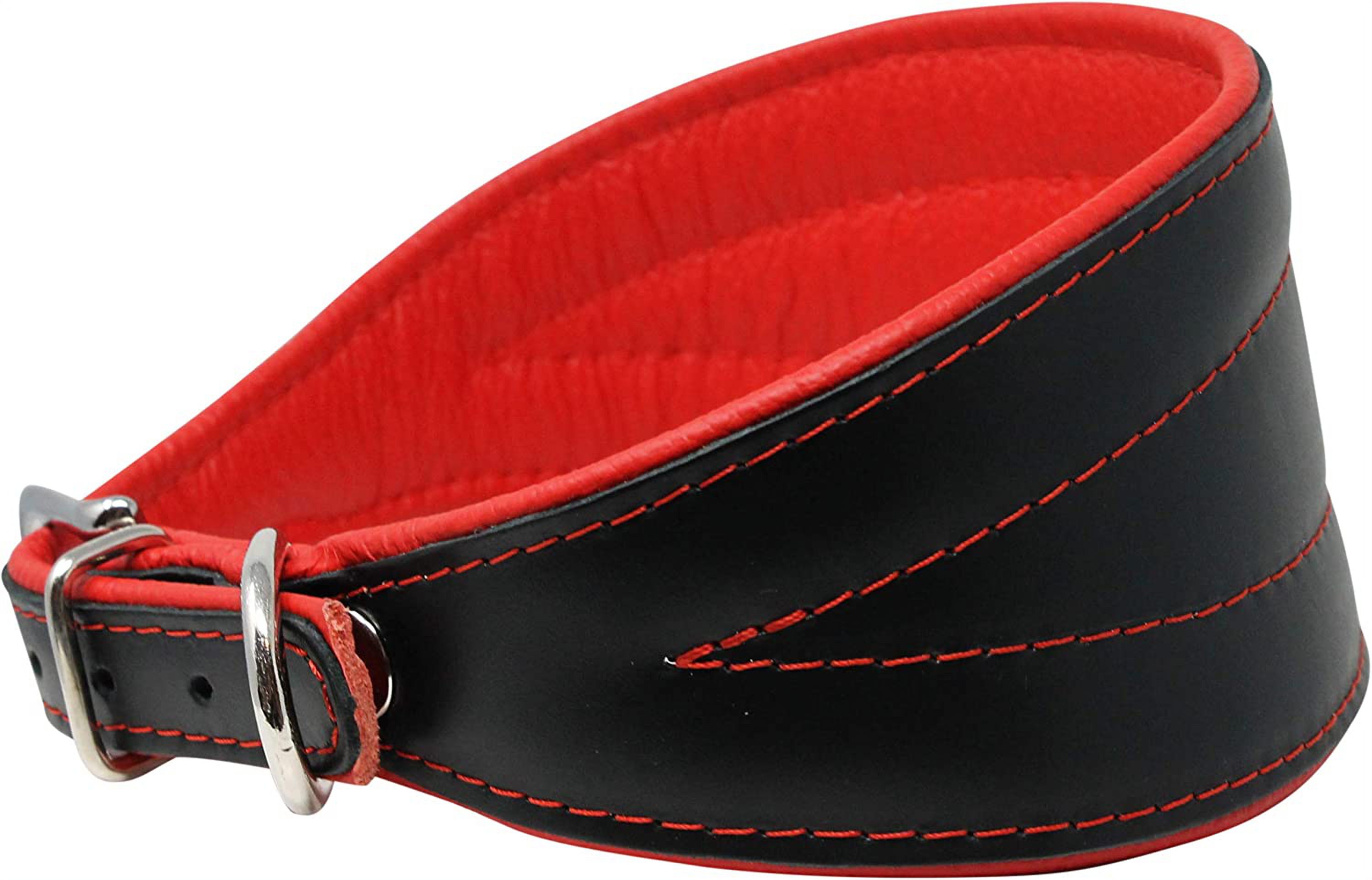 Real Leather Extra Wide Padded Tapered Dog Collar Glossy Black Greyhound Saluki Deerhound Lurcher Whippet Dachshund (8"-9.5" Neck; 1.75" Wide, Red)