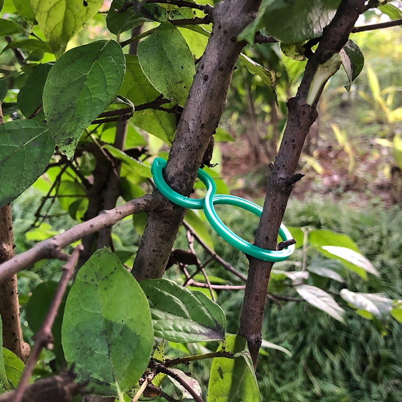 HFDD Garden Vine Strapping Clips Plant Bundled Buckle Ring Holder