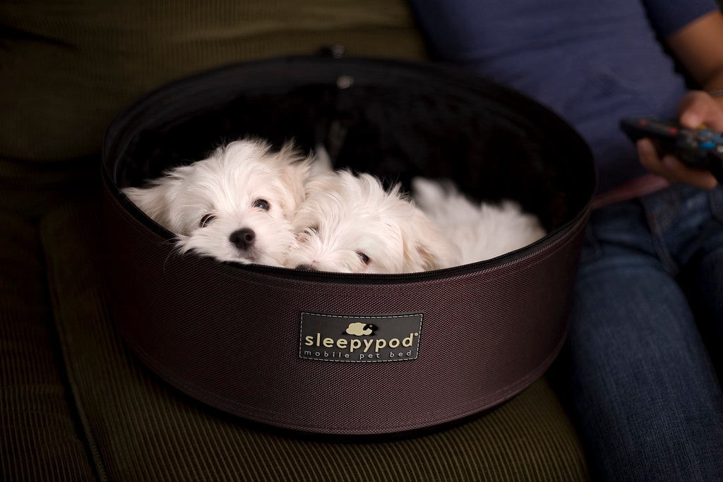 Sleepypod Mobile Pet Bed — Multi-use Travel Pet Bed, Crash-Tested Car Seat, & Carrier for Dogs and Cats up to 15 Pounds (Chocolate Brown)