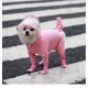 thumbnail image 1 of Zhuge Conjunto de impermeable y botas de lluvia para perros, conjunto de impermeable y botas de lluvia para perros pequeños y medianos, rosa, M, 1 of 4
