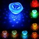 thumbnail image 1 of Luces flotantes para piscina TANGJMXG proyector de peces multicolor a batería IP67, 1 of 4
