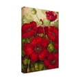 thumbnail image 3 of Trademark Fine Art Masters Fine Art Poppies II Canvas Wall Art - 16x24, 3 of 5