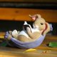 thumbnail image 5 of Cute Rabbit Swing Hanging Statue Landscape Swing Rabbit Dog Cat Swing Dragon Swing Owl Resin Sculpture Swing Sculpture, 5 of 5