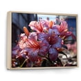 thumbnail image 2 of Designart "Urban Oasis In Graffiti Rhododendron I" Rhododendron Floater Framed Wall Decor, 2 of 5