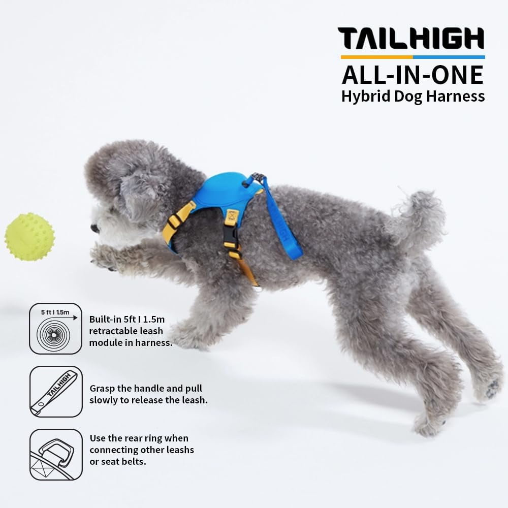 Hybrid Harness Medium GingkoBlue