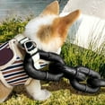 thumbnail image 4 of Durable Funny Chain Dog Leash for Small Medium - Ideal for Outdoor Walking Training and Control of Dogs and Cats, 4 of 4