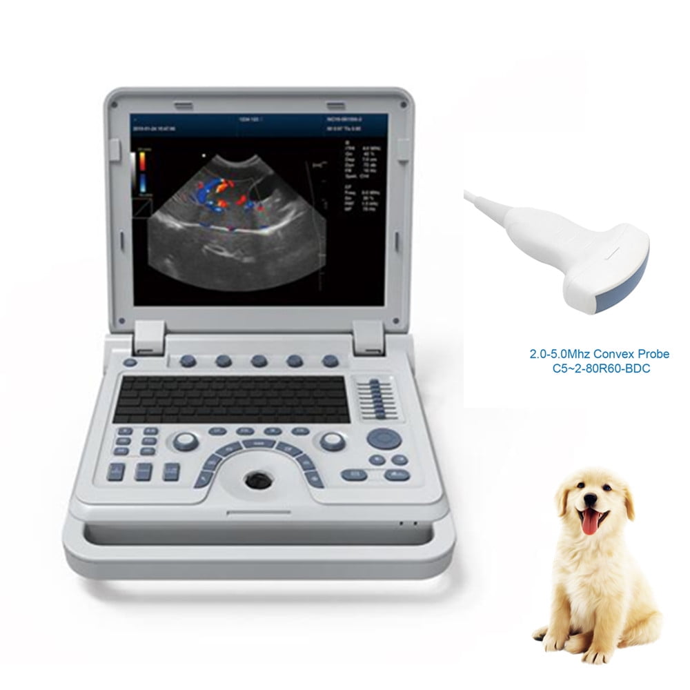  2022 Newest Ultrasound Machine for Pregnancy Portable ecografo  portatil Scanner Handheld Doppler for Small Baby Dog sonogram ultrasounds  veterinario Veterinary Portable Ultrasound for Bladder Dogs : Pet Supplies