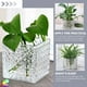 thumbnail image 5 of 2 portavelas de cristal cuadrados creativos, jarrones hidropónicos para decoración de escritorio del hogar., 5 of 6