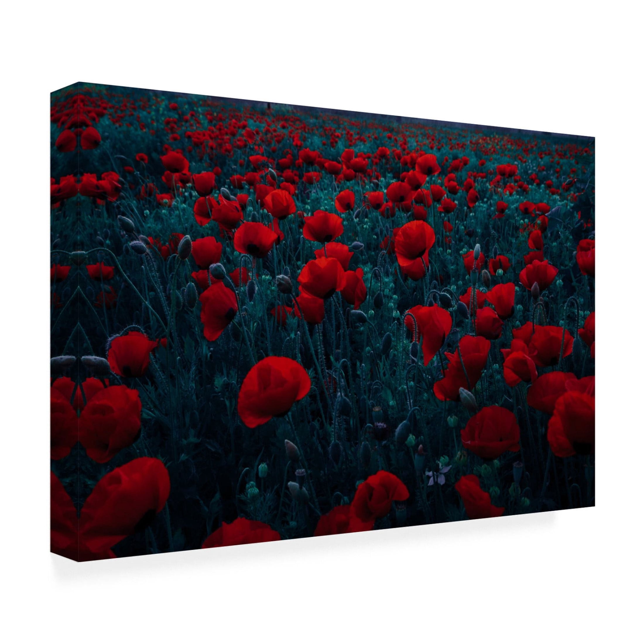 Canvas Wall Art - Farid Kazamil 'Symphony Of Flowers' Wall Art for Living Room, Bedroom, or Office Décor by Trademark Fine Art - 32 x 22 Inches