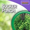 thumbnail image 4 of Bonide Sucker Punch Liquid Fungicide 32 oz ( Pack of 1), 4 of 4