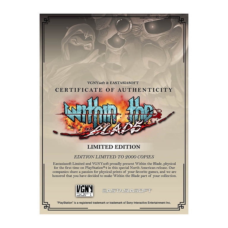 Within The Blade - PlayStation 4 (PS4) Video Game