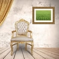 thumbnail image 3 of Flaherty, Dennis 14x11 Gold Ornate Wood Framed with Double Matting Museum Art Print Titled - Japan, Nara, Heguri-cho Field of growing rice, 3 of 4