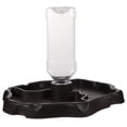 thumbnail image 1 of 1pc Small Pet Food and Water Bowl Feeder Container for Lizard Turtle Reptile (Coffee), 1 of 8