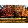 thumbnail image 2 of Hausenflock, Alan 14x11 Gold Ornate Wood Framed with Double Matting Museum Art Print Titled - Autumn in the Fields, 2 of 4