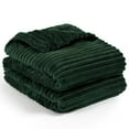 thumbnail image 2 of PAVILIA Super Soft Fleece Throw Blanket Emerald Green, Luxury Fuzzy Plush Flannel Throw, Warm Cozy Ribbed Microfiber Blanket for Sofa Couch Bed, Lightweight Striped Blanket, Green, 50x60, 2 of 9