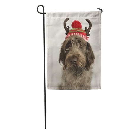 SIDONKU Wirehaired Pointing Griffon W Reindeer Antlers Ready for Christmas Garden Flag Decorative Flag House Banner 12x18 inch