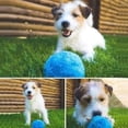 thumbnail image 2 of Billuyoard Juguete de bola rodante activo para perros y gatos Suministros para perros, 2 of 6