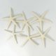 thumbnail image 3 of 12pcs White Finger Starfish 5-10cm Decorative Five-finger Starfish, 3 of 5