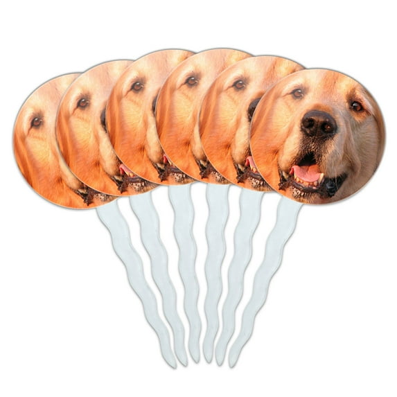 Golden Retriever Dog Cupcake Picks Toppers - Set of 6