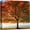 A11-2404-irs30, variant on Canvas Print Wall Art Sunset Over Joshua Trees Photography Realism Decorative Landscape, Relax Calm Nature Scenery for Living Room Bedroom Office