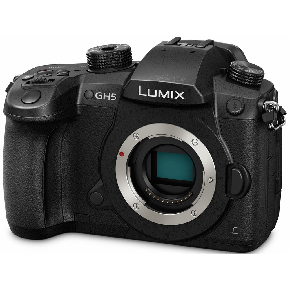 Lumix S1 V-logアクティベート済み Panasonic DC-S1 - カメラ