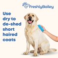 thumbnail image 2 of Cepillo de goma al curry para perros de pelo corto Freshly Bailey, 2 of 7