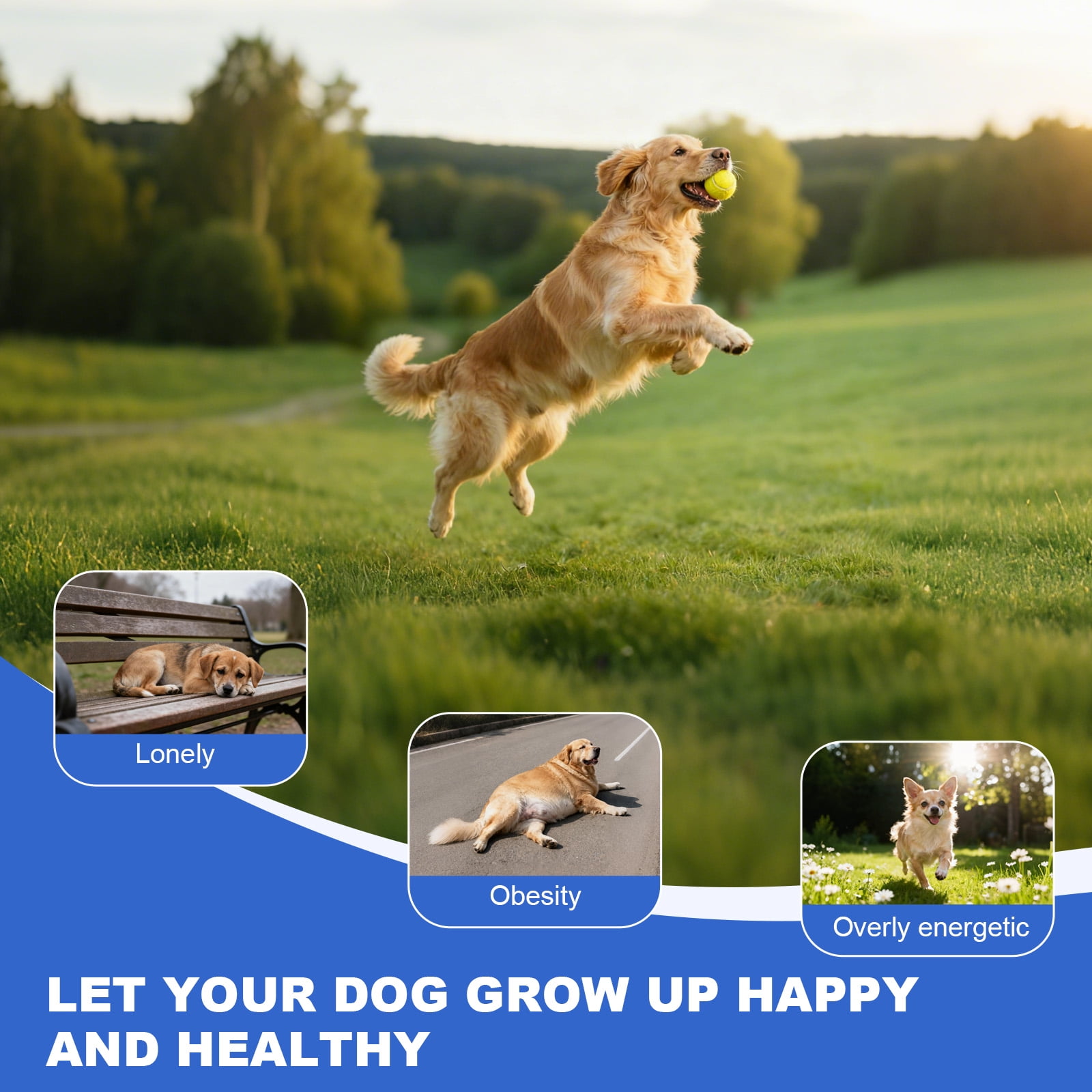 GYZJ Automatic Ball Thrower for Large Dogs, 40/60/80FT Distance Interactive Dog Ball Launcher Toys w/Remote Control,Includes 8 2.5" ETPU Tennis Balls