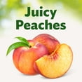 thumbnail image 3 of Del Monte Yellow Cling Sliced Peaches Canned Fruit 15.25 oz Can (Pack of 2), 3 of 5