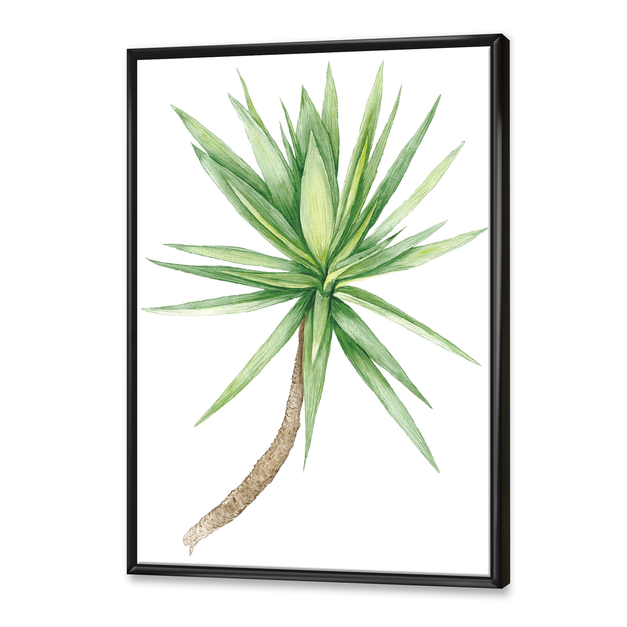 Designart 'Close Up Of Yucca Tree' Traditional Framed Canvas Wall Art Print