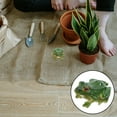 thumbnail image 6 of YEAHIBABY 2Pcs Realistic Green Resin Frogs Decorations for Indoor and Outdoor Display, 6 of 6
