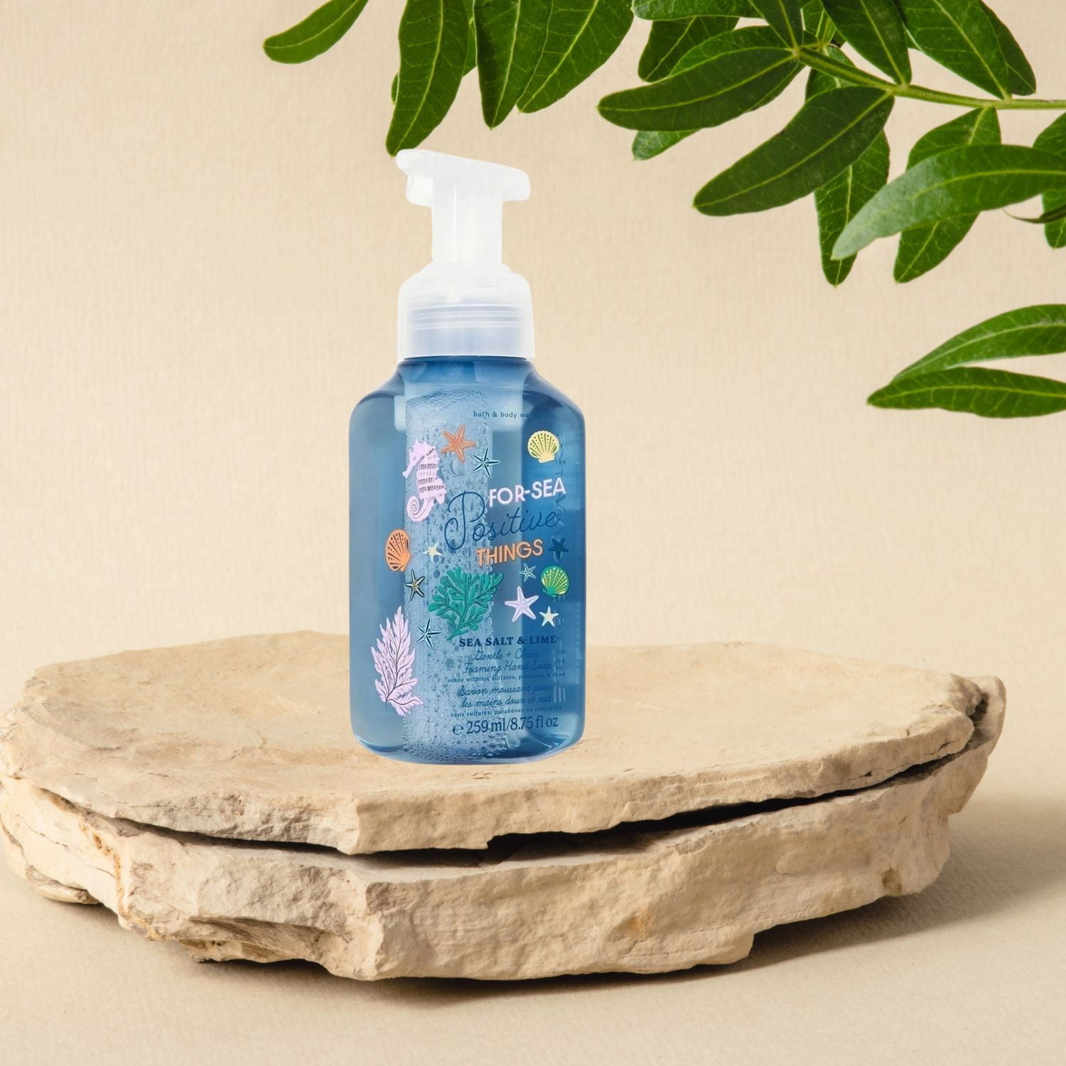 Bath and Body Works Sea Salt & Lime (For-Sea Positive Things) Foam