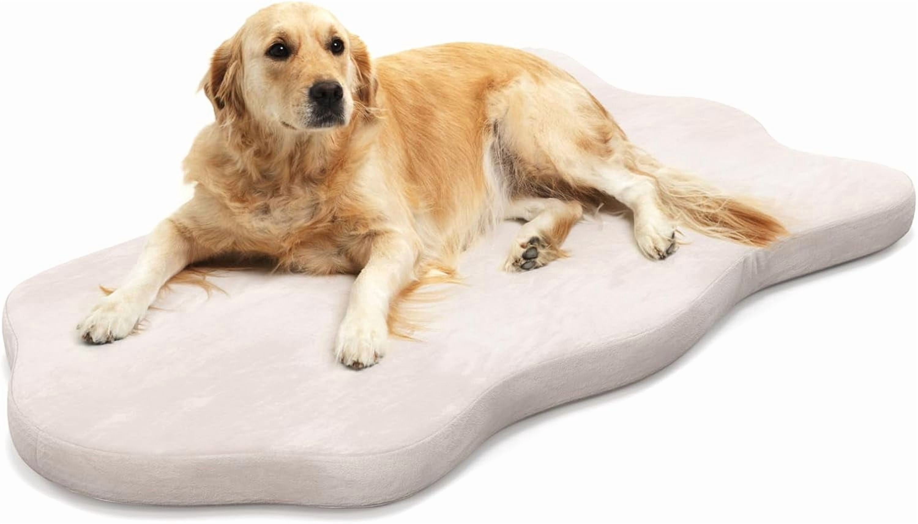 Memory Foam Dog Bed with Removable Washable Cover, Non-Slip Bottom, Egg Crate Foam Pet Sleeping Mat for Large Medium Dogs, 43 x 26 inch, Orthopedic Dog Bed Indoor Outdoor (Beige)