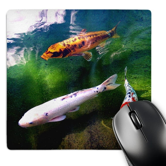 3dRose, Chinese Koi Carp Fish, MousePad
