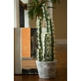 thumbnail image 5 of Nearly Natural 27.5" Decorative Cactus Garden Artificial Plant with Cement Planter, Green, 5 of 7