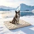 thumbnail image 2 of Leodye 1PCS Non-slip Bottom Washable Pet Cooling Mat Portable Summer Ice Pad for ss Crate Sofa Floor Heat Relief In High Temperature -27.56x21.65in, 2 of 7