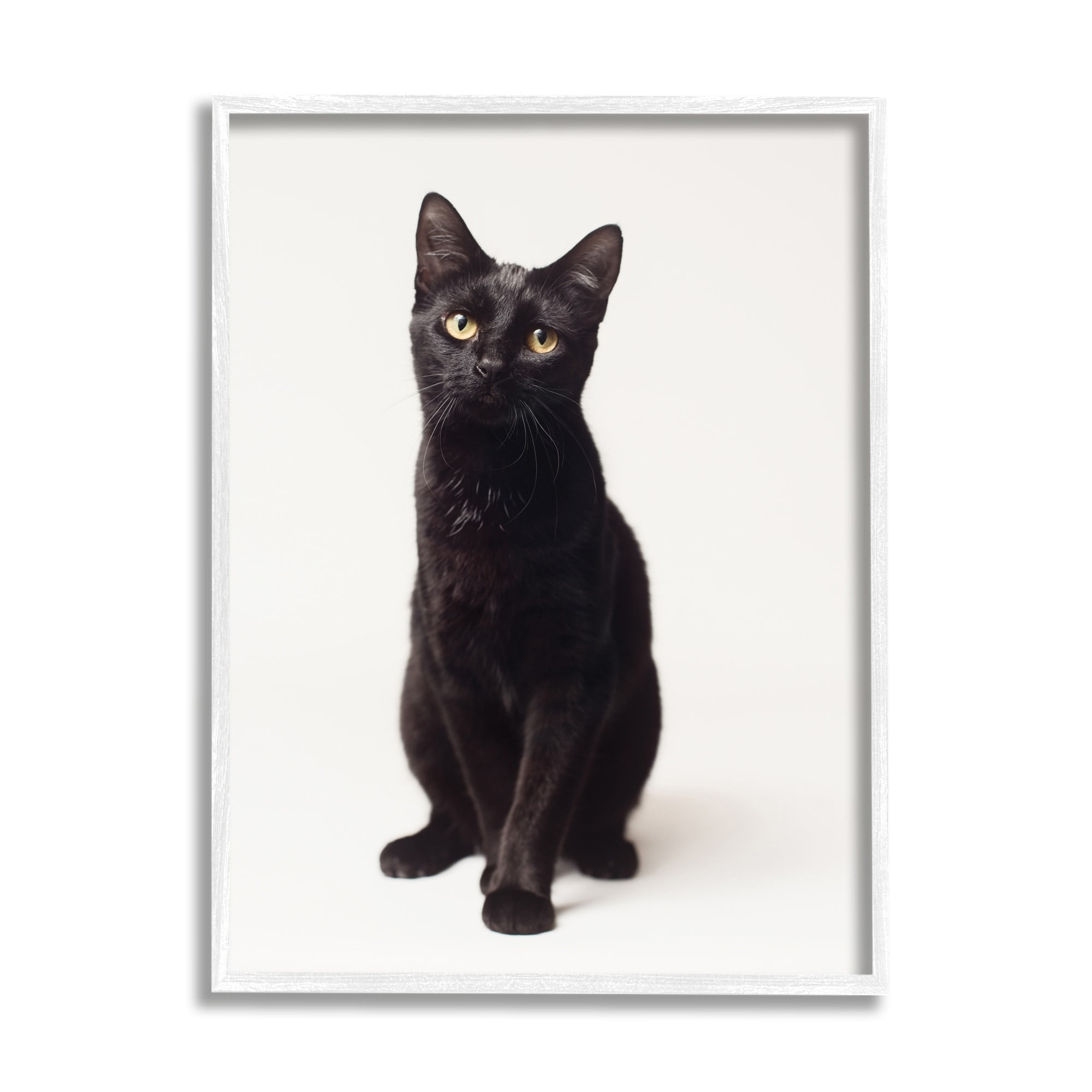 Stupell Industries Cute Black Cat Expressive Eyes Pet Portrait,11 x 14,Designed by Marika Moffit
