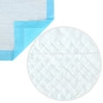 thumbnail image 3 of Disposable Underpads for Pets Ultra Absorbent Chucks Pads for Incontinence Bed Protection Blue Underpads, 3 of 6
