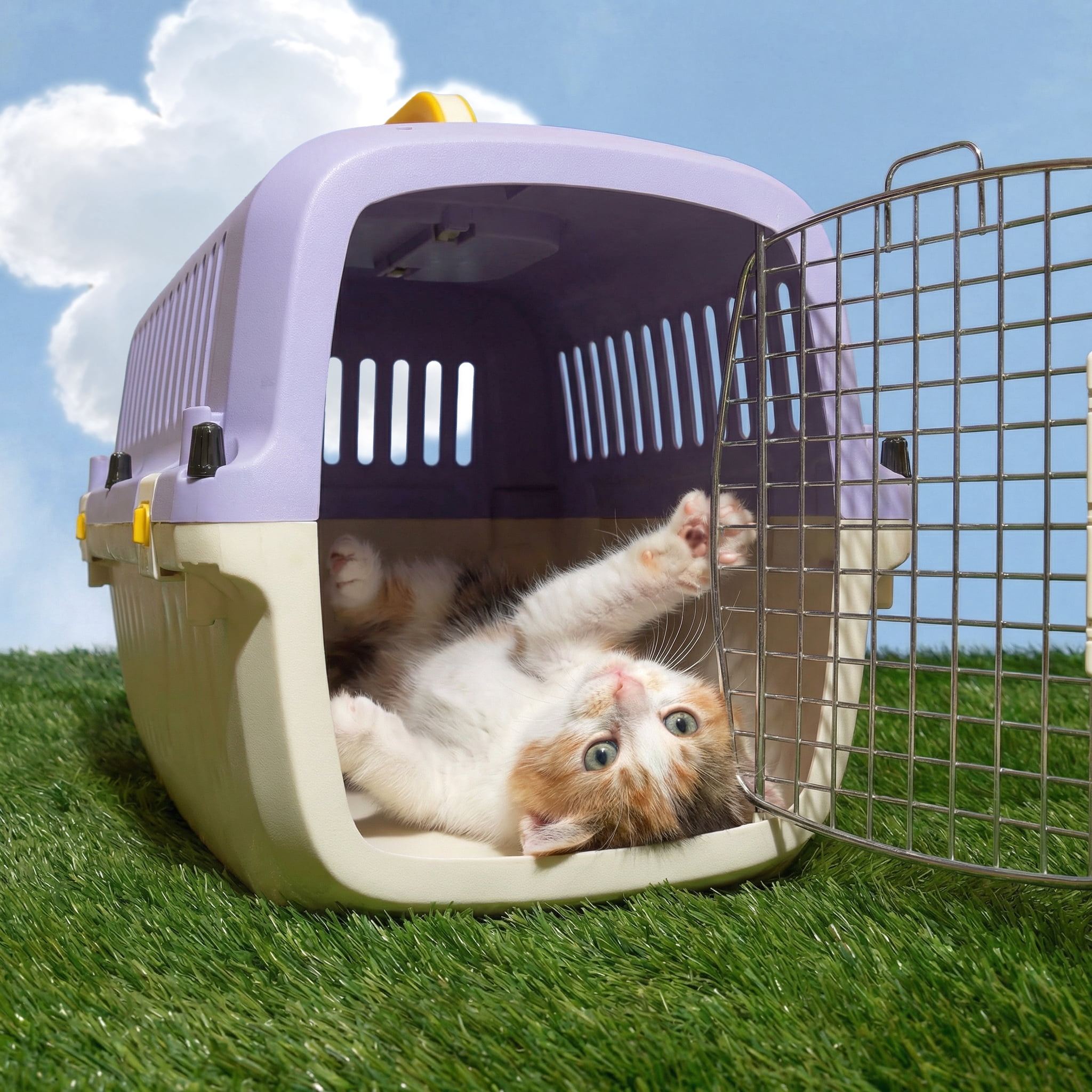 Oodles 20" Plastic Travel Pet Kennel, with Clip On Bowl, Purple