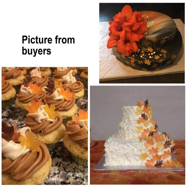 Large choix de décorations comestibles pour gâteaux