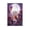 Unframe-style, variant on Daki Demon Upper Moon Poster Canvas Poster Wall Art Picture Prints Hanging Photo Gift Decor Home Posters Artworks 24x36inch(60x90cm)