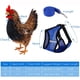 thumbnail image 3 of Arnés de pollo con correa, ajustable, resistente, cómodo, transpirable, arnés para mascotas pequeñas para pato, ganso, gallina, perros pequeños M, 3 of 5