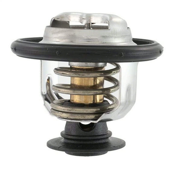 Motorcraft THERMOSTATASY (P)