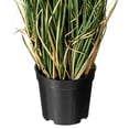 thumbnail image 2 of Vickerman 24" Artificial Potted Green Curled Grass., 2 of 7