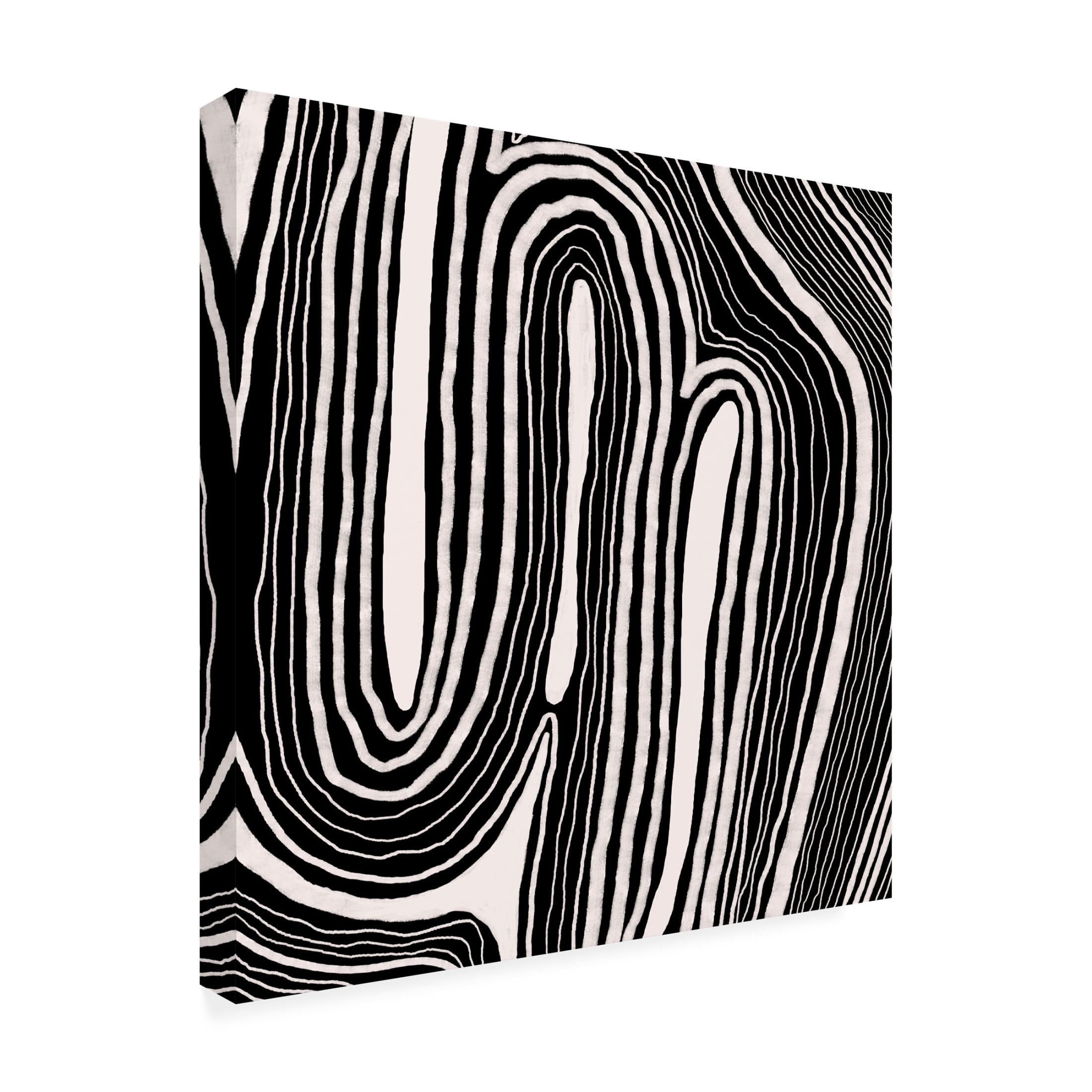 Canvas Wall Art - Regina Moore 'Dizziness I' Wall Art for Living Room, Bedroom, or Office Décor by Trademark Fine Art - 18 x 18 Inches
