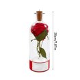 thumbnail image 3 of Christmas Message in a Bottle, oice Recording Holiday Keepsake with Playback, Meaningful Keepsake Special Decorative Home Christmas Decoration (C), 3 of 4