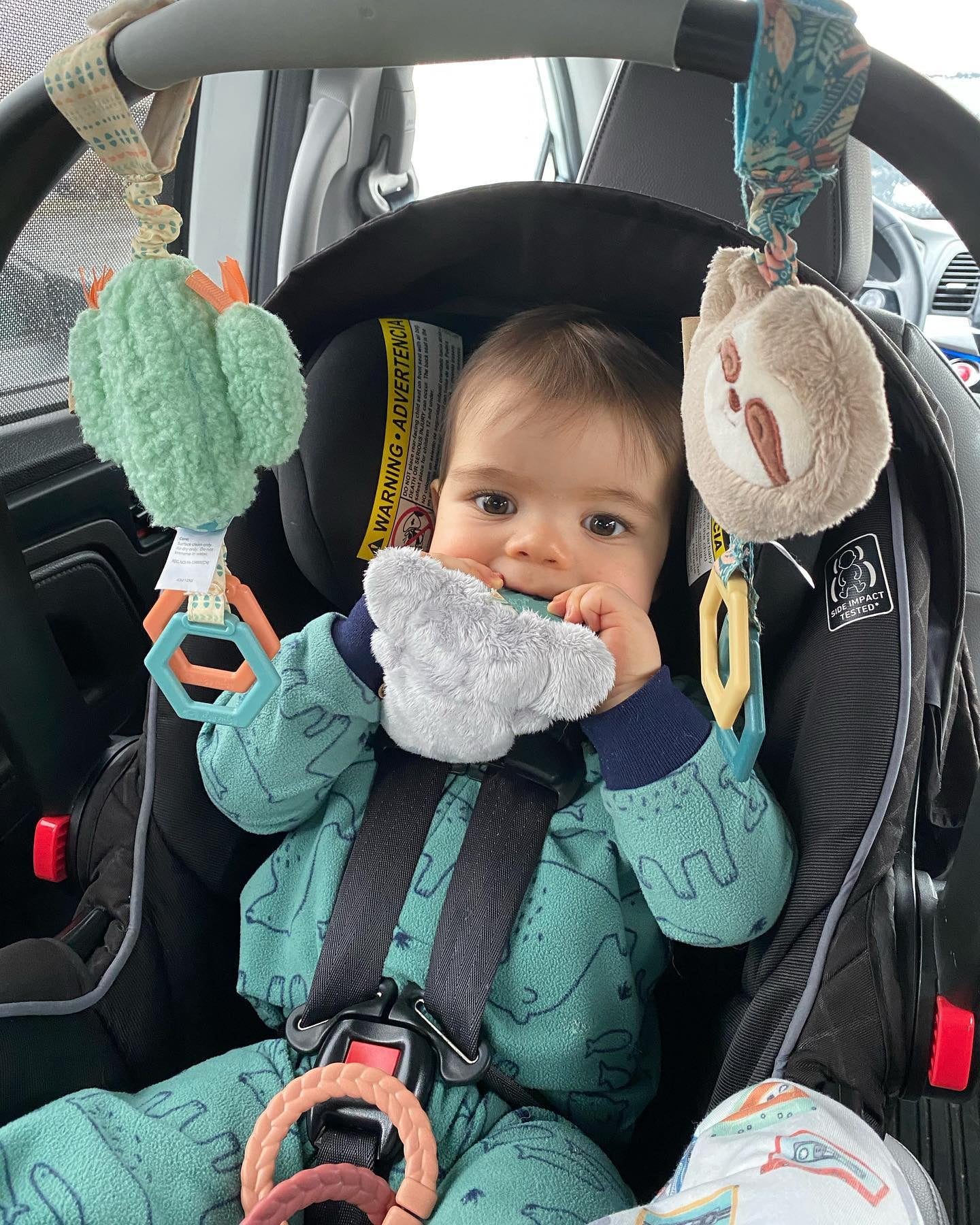 Ittzy Ritzy. Ritzy Jingle Toy - Stoller Toy for Baby, Unisex 0m+
