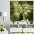 thumbnail image 3 of Design Art - Sunlight Peeking through Green Tree, 3 of 5